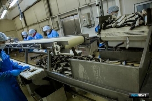 Томская область предложила меры для роста потребления рыбы Томская область предложила меры для роста потребления рыбы