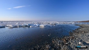Ученые спокойны за экологию Нижней Оби