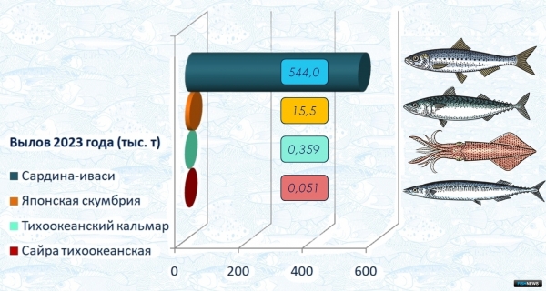 Рекорд по иваси: ученые рассказали об особенностях промысла пелагических объектов