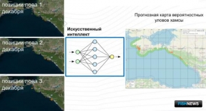 Искусственный интеллект пришел на помощь добытчикам хамсы Искусственный интеллект пришел на помощь добытчикам хамсы