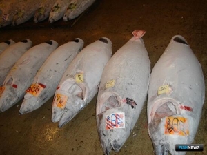 Сбросы с «Фукусимы-1» сказались на экспорте японских продуктов