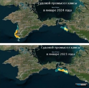 Новый район промысла хамсы помог нарастить вылов Новый район промысла хамсы помог нарастить вылов