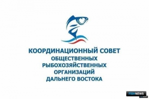Проблематику заводов под инвестквоты обсудил Координационный совет
