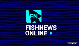 Новый закон поможет рыбакам быстрее воспользоваться вычетом