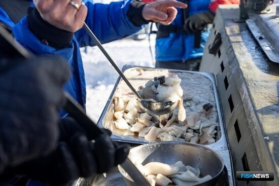 Минтай идет в народ: полезную рыбу по-новому представили гостям фестиваля на Камчатке