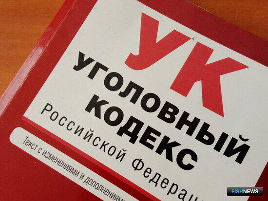 В Подмосковье задержали товарную партию браконьерской осетрины