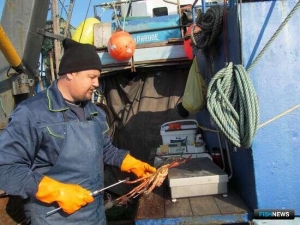 Специалисты оценили состояние крабов у камчатского побережья