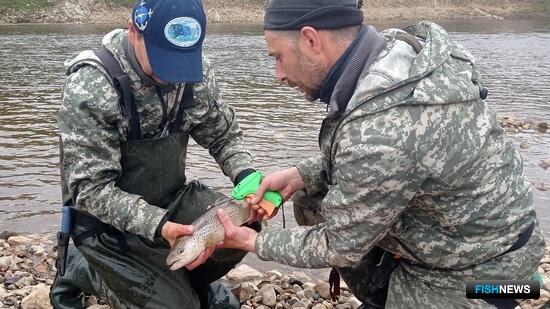 Промысловую рыбу НАО исследовали ученые