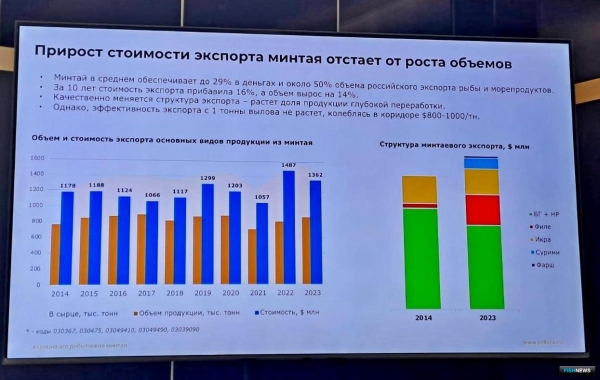 Экспортеры минтая ожидают господдержки