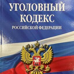 Член «осетровой» ОПГ получил реальный срок