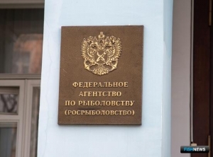 Рыбакам Севера готовят основу для промысла в 2025 году Рыбакам Севера готовят основу для промысла в 2025 году